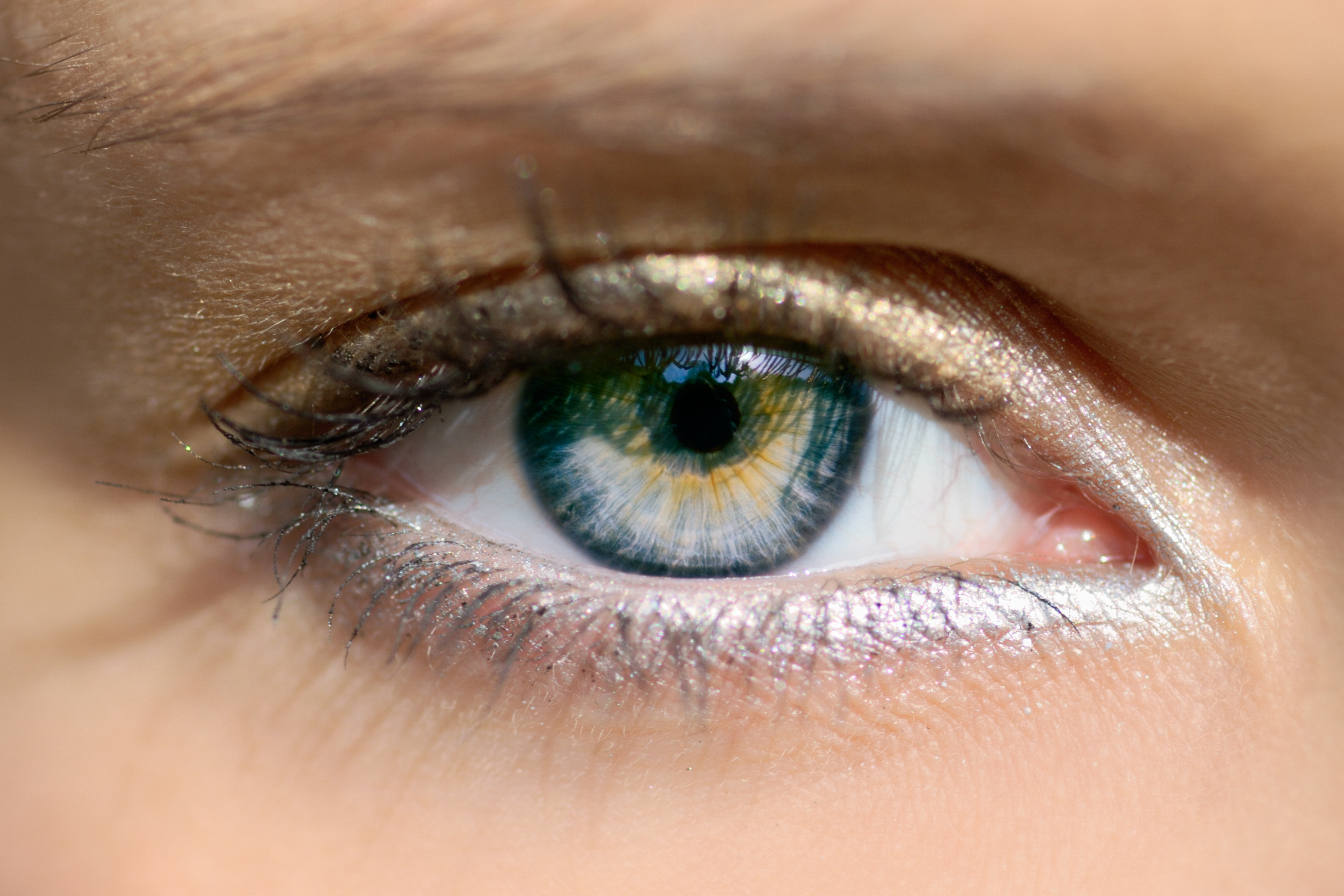 Iris (regnbuehinnen) – justerer pupillens størrelse